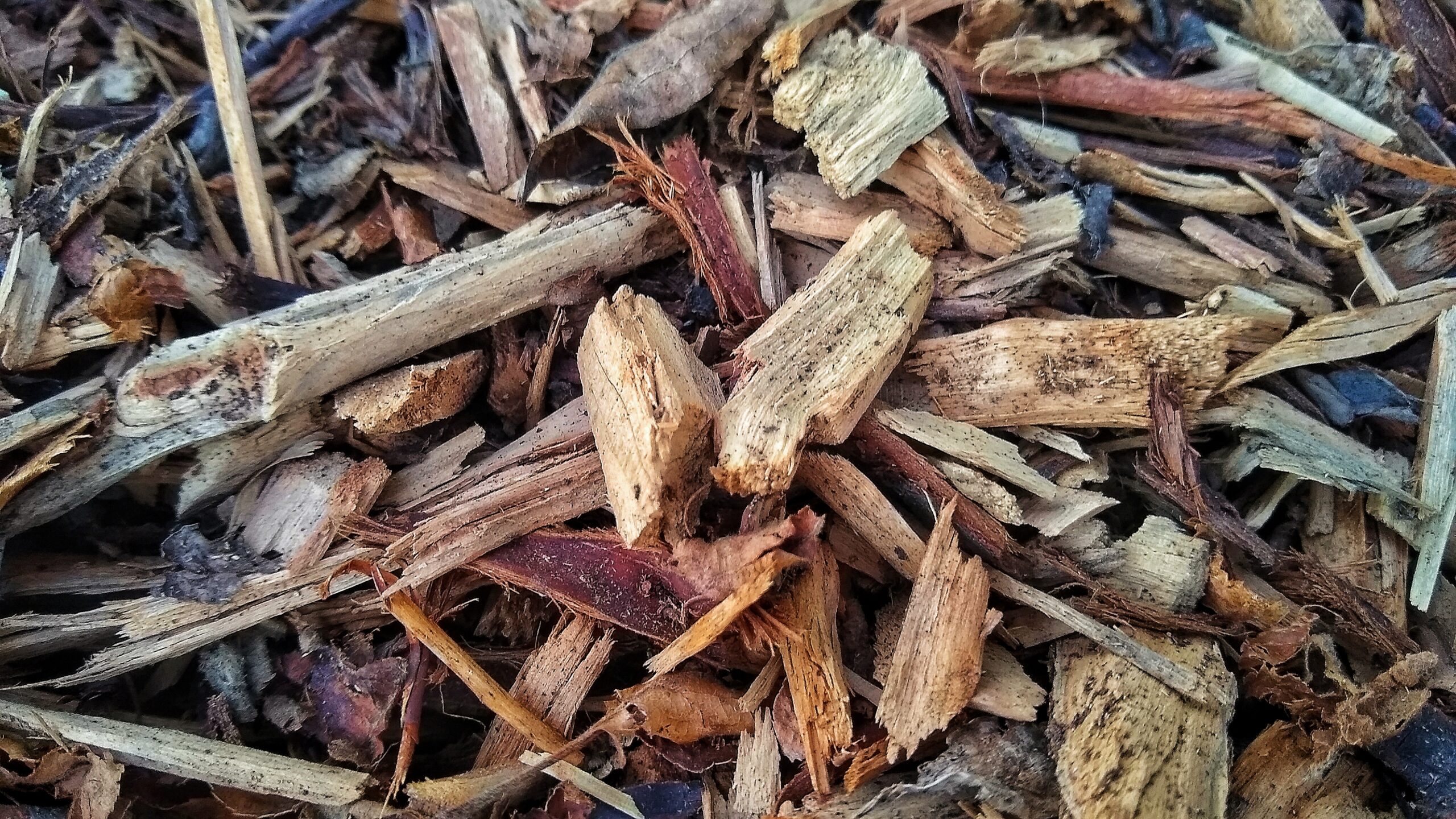 Brown wood mulch